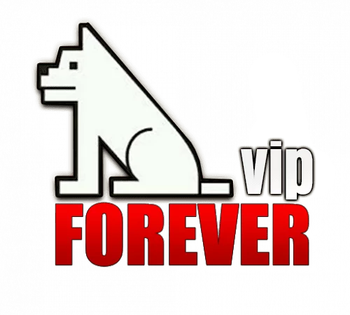 نبذة عن سيرفر فوريفر Forever VIP