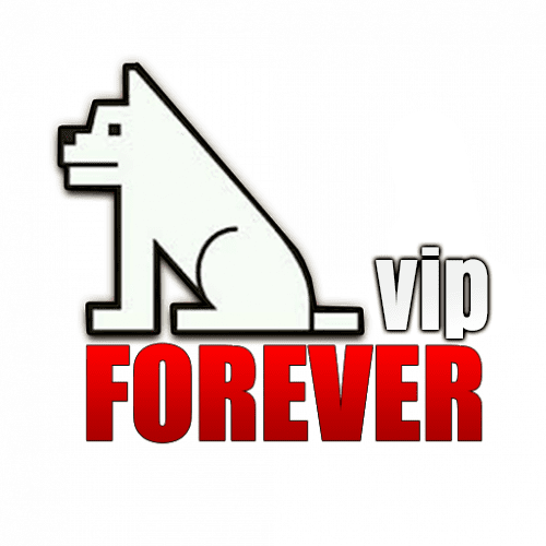 نبذة عن سيرفر فوريفر Forever VIP